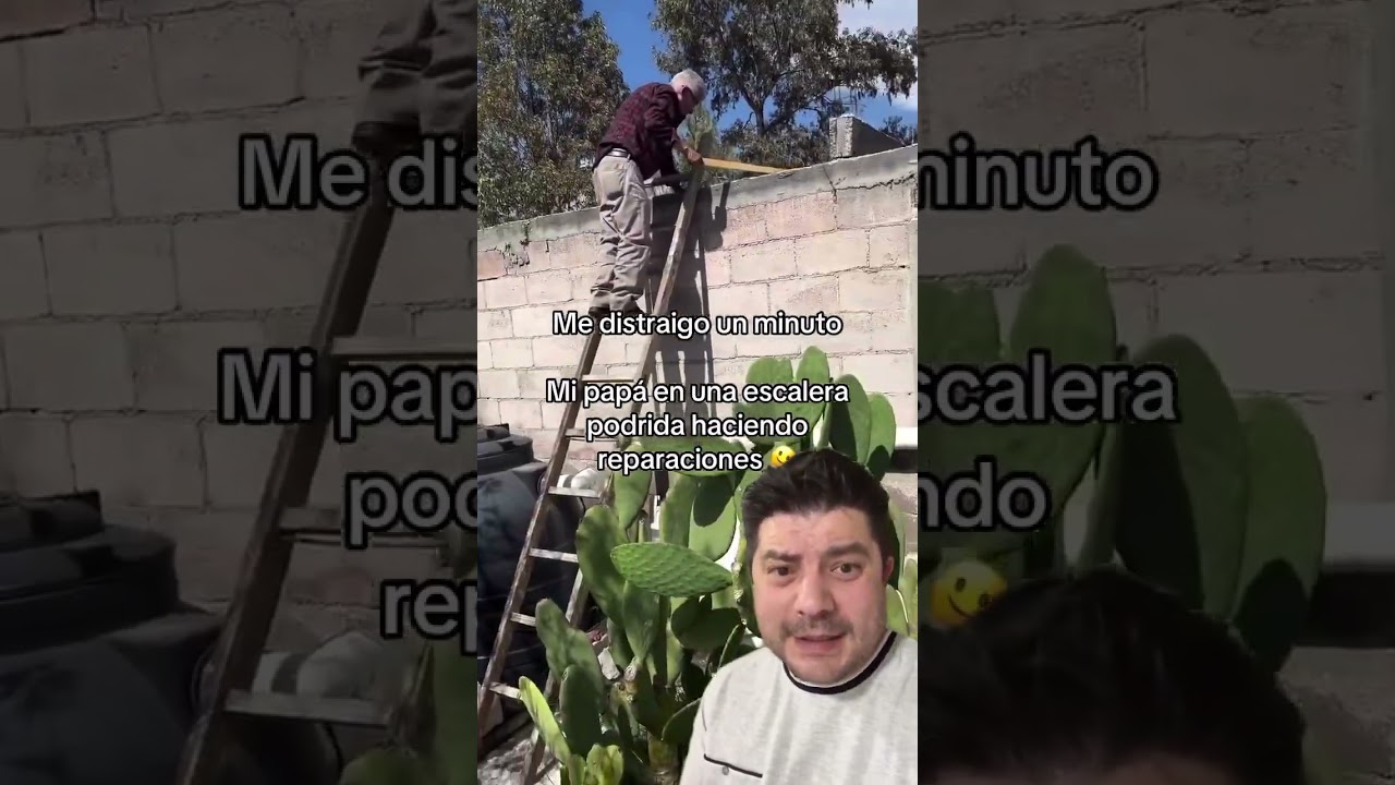 Apaga arregla todo 🦊 APRENDER A SER PADRES #aprendiendoaserpapa #serpadre #mamá #padre #papá ￼