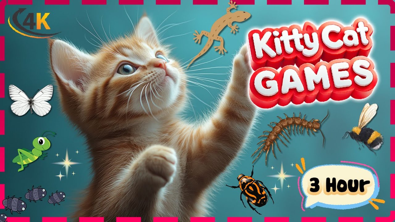 Cat Games 😺 Butterfly Chase Fun 🦋🦎🪲 The Best Cat Game for Cats!