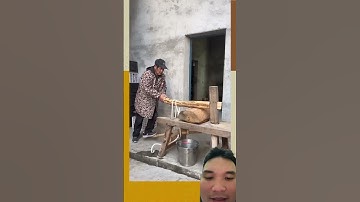 Công nghệ ép dầu lạc ở Trung Quốc #woodworking