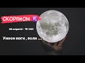 СКОРПИОН ♏️ | «УХОДИ КРАСИВО | астро и таро прогноз на май 2022 года | СУДЬБОНОСНЫЕ ПЕРЕМЕНЫ