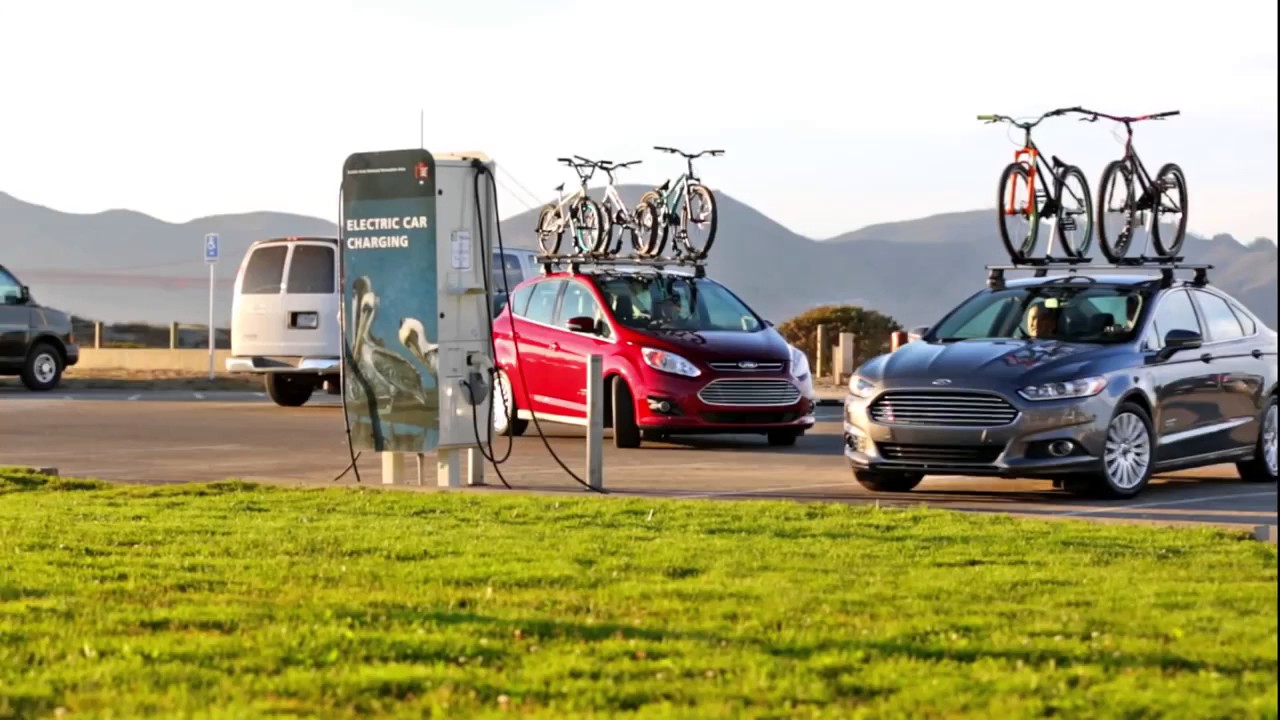 cycle stand behind car