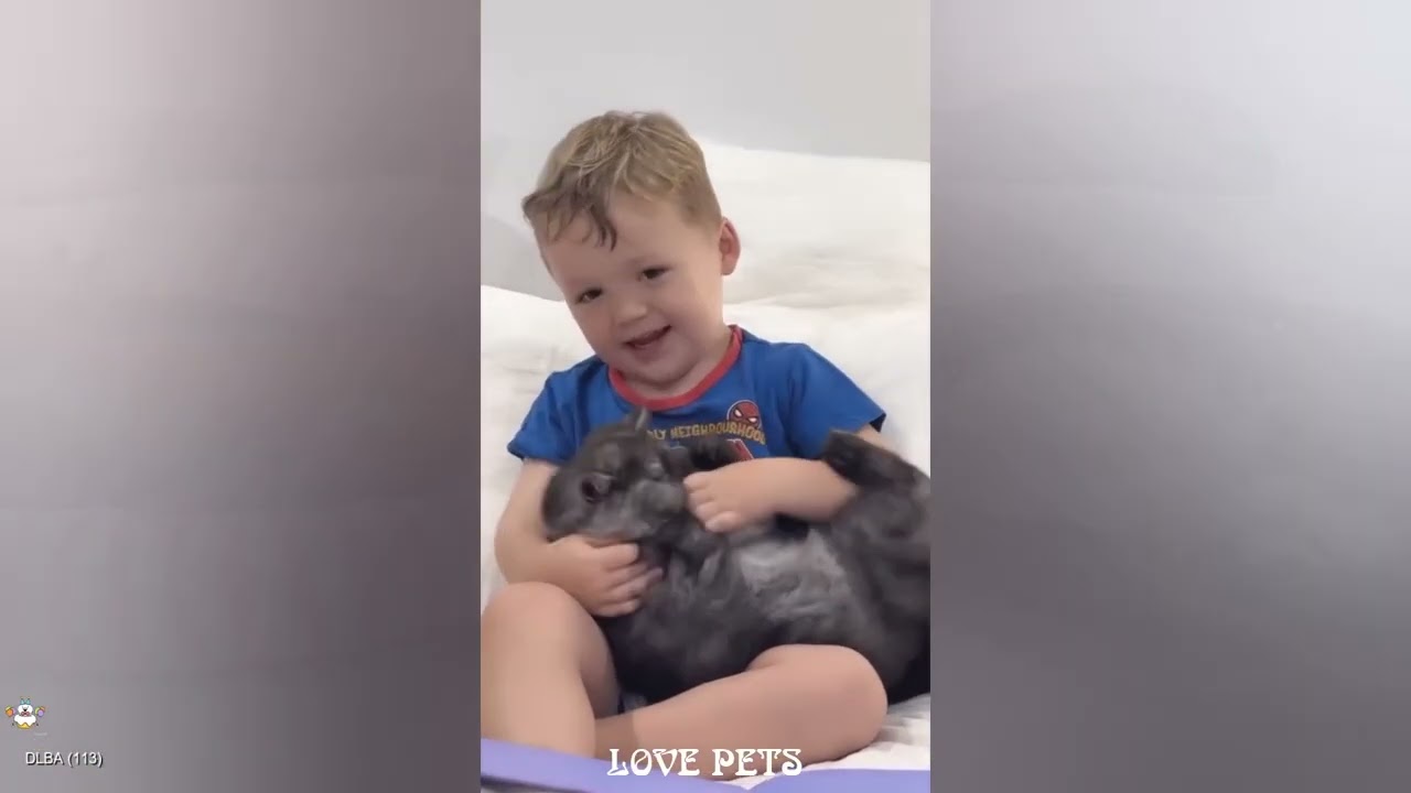 Touching Moment: Dog Adamantly Guards Its Tiny Best Friend. 🥰😘😋