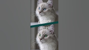 Photoshop Generative AI - How to Change Eye Colour #generativeai #photoshopai #photoshoptutorial