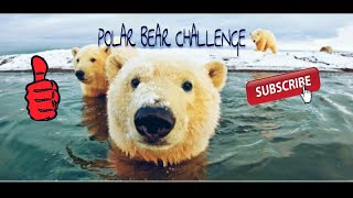 Crazy Cold Water Challenge Polar Bear Challenge I Think I Got Frostbite