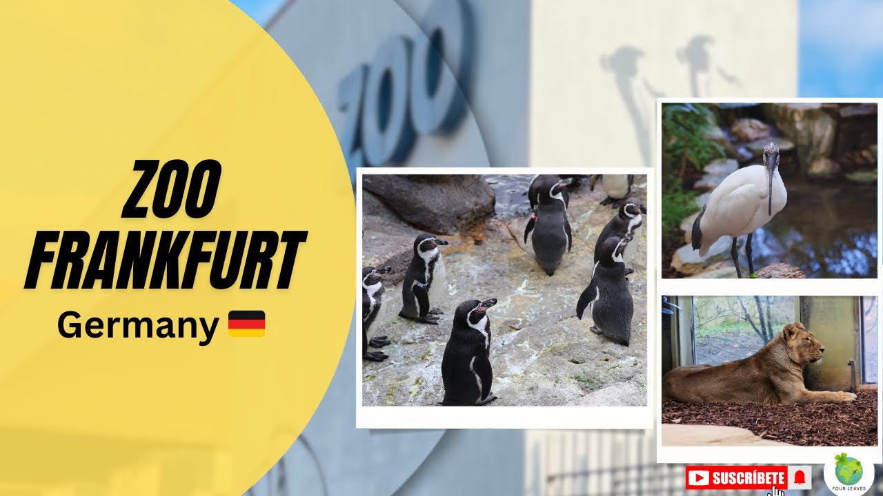 Zoo Frankfurt, Germany 🇩🇪 | in winter| ජර්මනියේ ෆ්‍රෑන්ක්ෆර්ට් සත්ව උද්‍යානයේ සංචාරය 