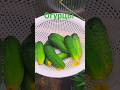 Огурцы