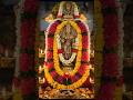 Blessings of Lakshmi Devi 🙏✨