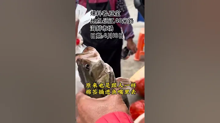 现场视频:给鱼和蛏等海鲜如何做新冠肺炎病毒的核酸检测呢？ - 天天要闻