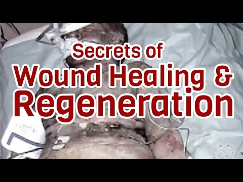 Secrets of Wound Healing and Regeneration - Dr. Bart Flick