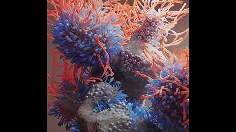 jiggly coral (houdini, redshift)