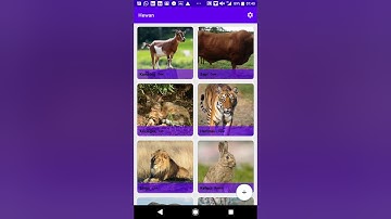 IMPLEMENTASI DATABASE SQLITE PADA APLIKASI ANDROID