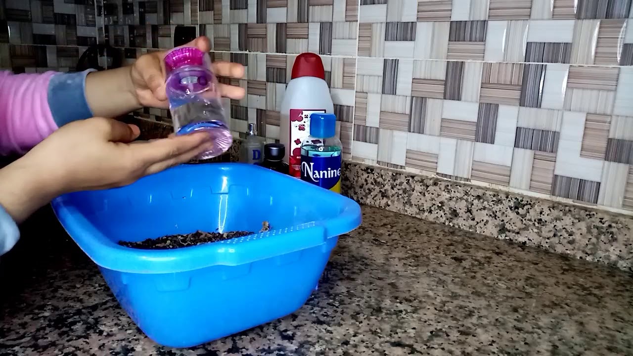 البخور الصحراوي  برائحة ولا أروع 👍👍