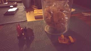 My first stop motion animation