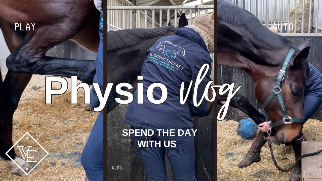 SELF CARE FOR HORSES A TREATMENT FROM THE PHYSIO YouTube self-care-for-horses-a-treatment-from-the-physio-youtube