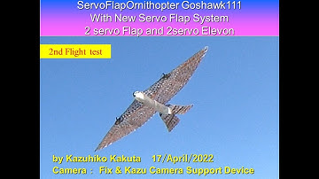 サーボ駆動羽ばたき機　オオタカ　86ｇ　SFOGoshawk111  2 servo Flap and 2servo Elevon: 2nd Flight Test