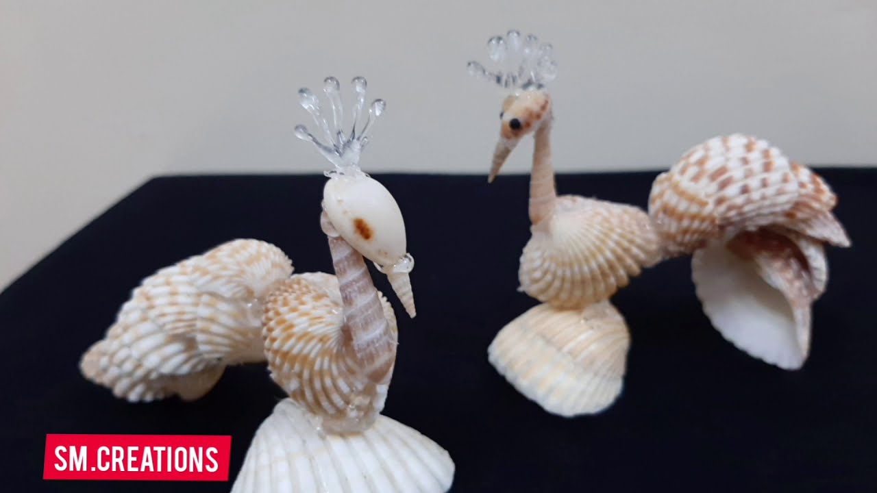 How to make peacock by using sea shells