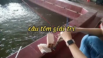 Câu tôm càng xanh giải trí tại Hồ câu Kỳ Anh, Thanh Đa, Bình Thạnh, TPHCM.