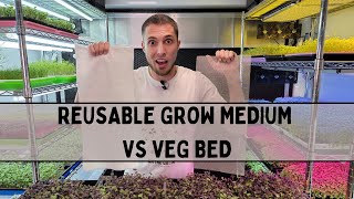 Reusable Grow Medium vs Premium Grow Medium  Rambo Radish  Microgreen Medium Trial