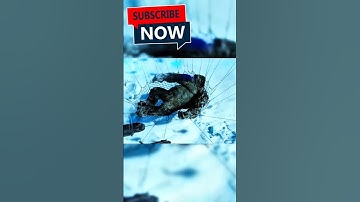 Kong vs Godzilla 😱 Don