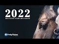 Fasigtipton 2022 selected yearlings sales