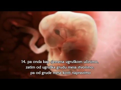 Video: Koje je značenje džihada prema Kur'anu?