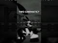 TWO CINEMATIC?