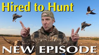 Alberta Duck and Goose Hunting: Hired to Hunt Specs, Canadas, Ducks and DiveBombs @divebombsquad