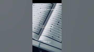 ياسر الدوسري سورة الجاثية #القرآن #اكسبلور #القرآن_الكريم #لايك #اكسبلورر #ياسر_الدوسري