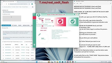 Video Demonstration of $15,000 Limit Flash USDT Software