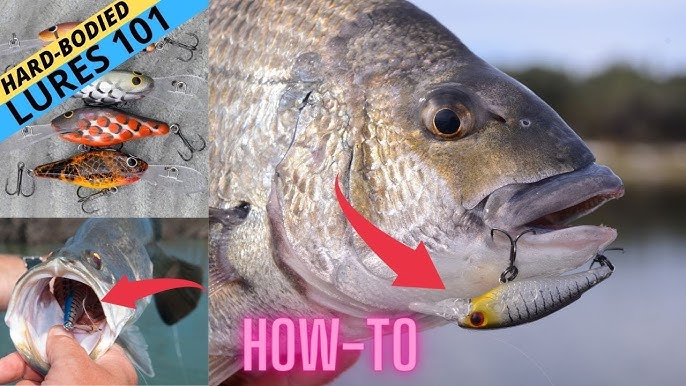 How To Catch Your First Fish On A Lure (Hardbody Crankbait)! 