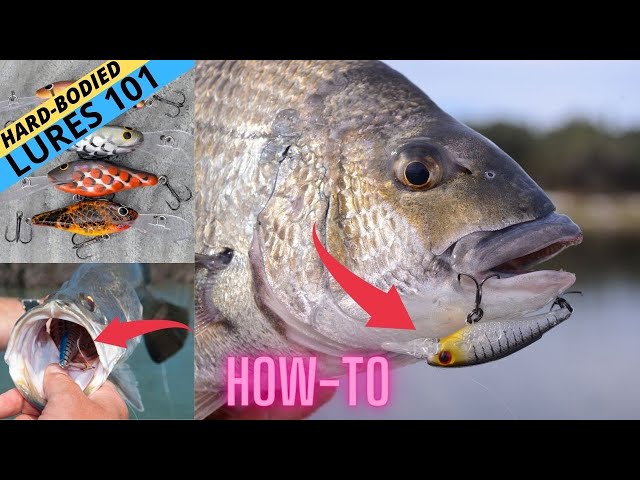 FISHING WISDOM — Hard Body Lure Fishing 101 