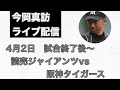 【今岡真訪】振り返りライブ配信　読売ジャイアンツvs阪神タイガース