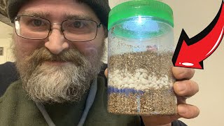 Kids Light Up Terrarium Kit Fun For Creative Minds