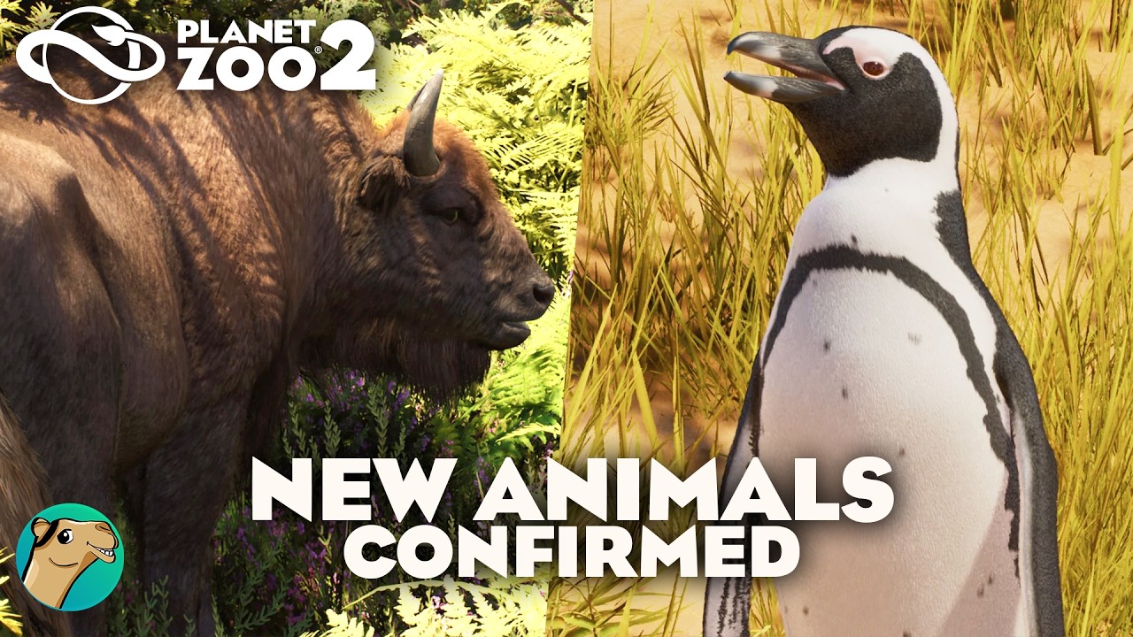 Bison & African Penguin! New Animals and Zoopedia Reveal - Planet