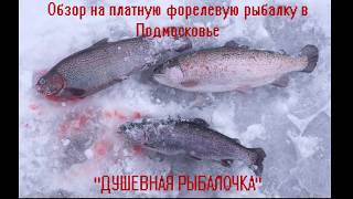 Зимняя форелевая рыбалка на платнике в Подмосковье. Обзоры на платную рыбалку.  Душевная рыбалочка.