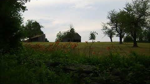 Improvisation #99 for Poly Evolver Keyboard