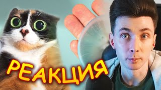 ХЕСУС СМОТРИТ: ВОТ ЧТО МЫ КУПИЛИ НА ALIEXPRESS | SLIVKISHOW | РЕАКЦИЯ