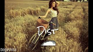Dj Dogushiba - Dist ( Original Mix ) Resimi