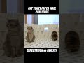 Cat Toilet Paper Carpet Challenge!! Expectation vs Reality #Cat #Challenge #Kittisaurus