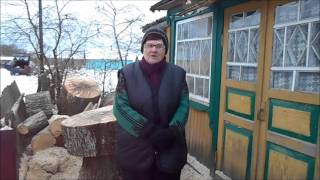 Удаление деревьев. Отзыв Удаление деревьев. Отзыв