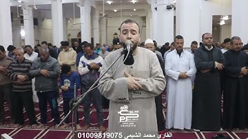 أجمل تلاوات شهر رمضان 2024 بصوت القارئ محمد الشيمى الموهوب من مسجد العمرى سورة آل عمران