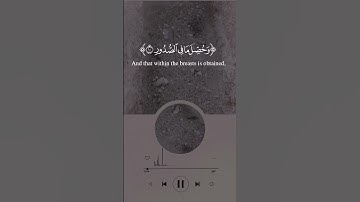 سورة العاديات |  تلاوة مؤثرة جدا| القارئ عبد الرحمن مسعد