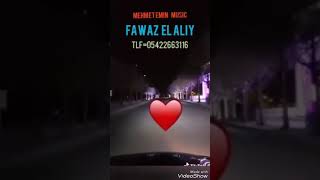 Fawaz el ali 2019 Resimi