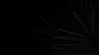30.6K Ultra HD Black Aesthetic Wallpaper | Dark Minimal Background Loop
