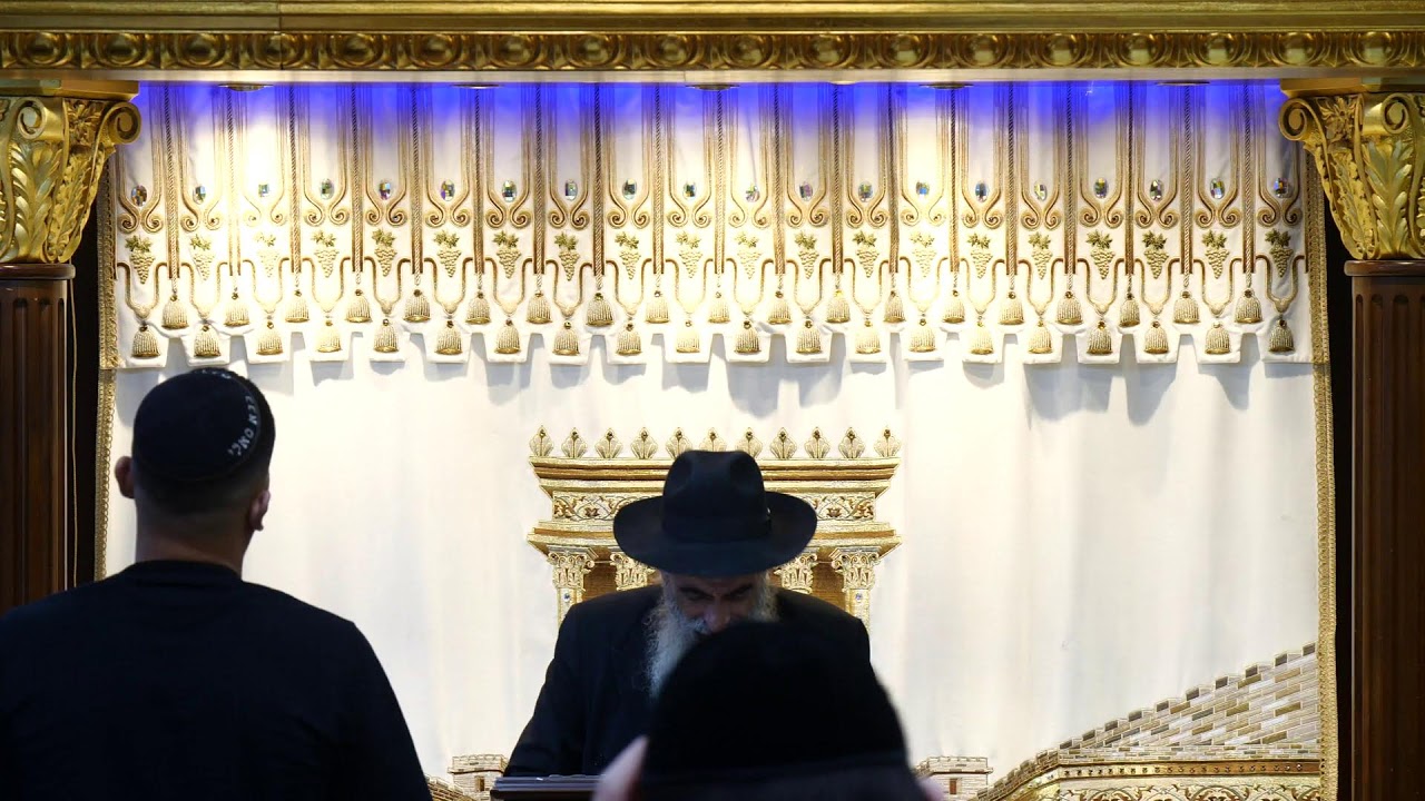 הרב מאיר דוד שמואלי שליט"א - שידור חי יום ד' - פרשת האזינו תשפ"ז