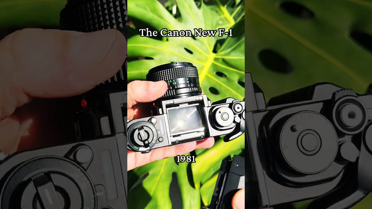 The The ‘new’ improved version of the famed Canon F-1. As seen in the spider man movies #canonf1