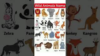 Wild Animals Name #wildanimals #wildanimalsnames #wildanimalsinhindiandenglish