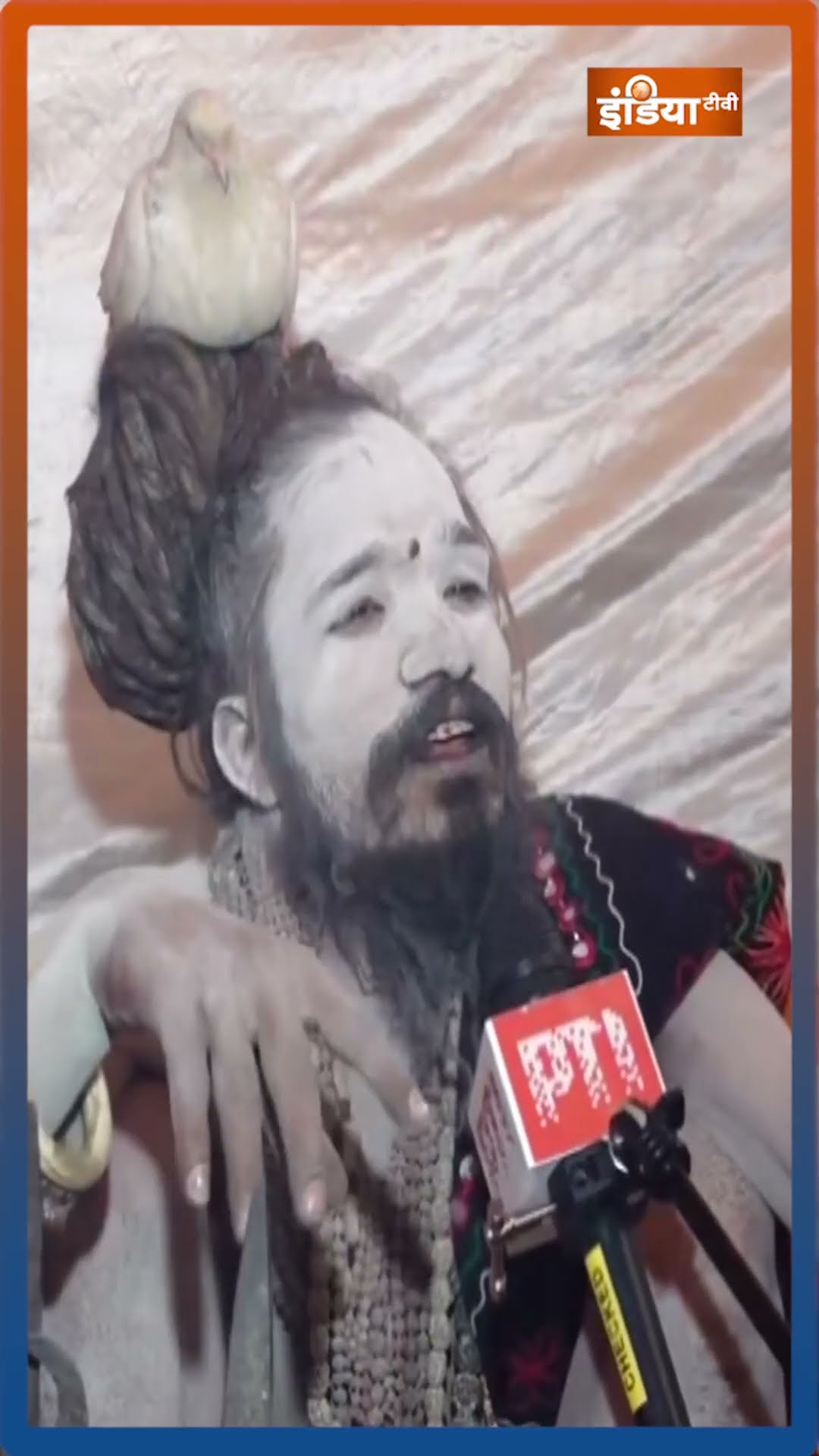 महाकुंभ में स्नान को आए सर पर कबूतर लिए अद्भुत बाबा #mahakumbh2025 #paryagraj #cmyogi #indiatv