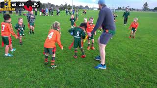 U6 PAKURANGA RIPPA RUGBY:HIGHLANDERS VS CRUSADER 9/8/2024