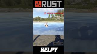 Операция Морские Котики 🥹 #rust #раст #shorts #rustgame #kelpy #gaming